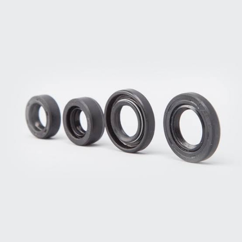 Oil Seal Kit