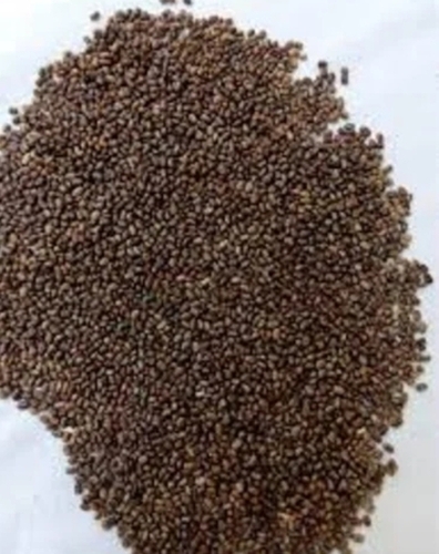 Organic Indigo Seeds 