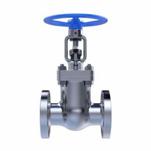 Cast Iron Gate Valve