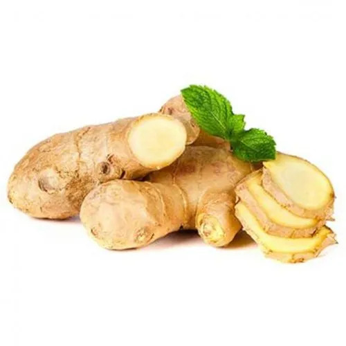 Fresh Ginger - Shelf Life: 1 Days
