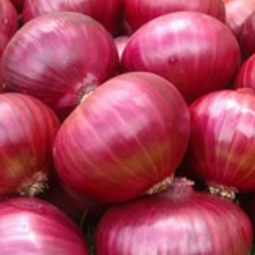 Fresh Onion