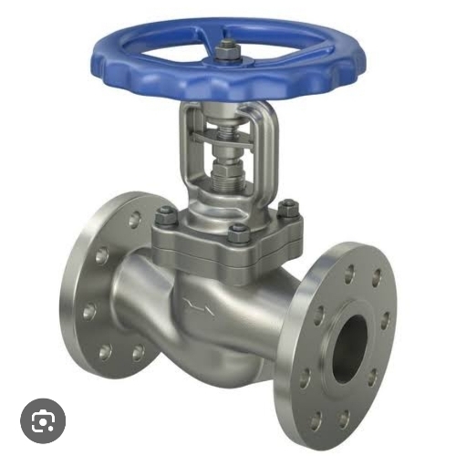 Ss Globe Valve