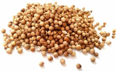 Organic Coriander Seeds