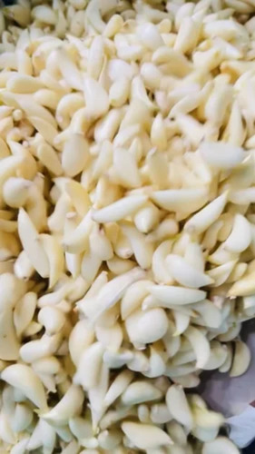 Natural Fresh Peeled Garlic