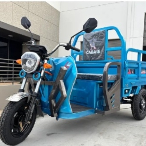 Cargo Electric Tricycle