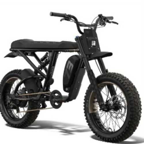 E bike