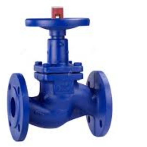 Globe valves 