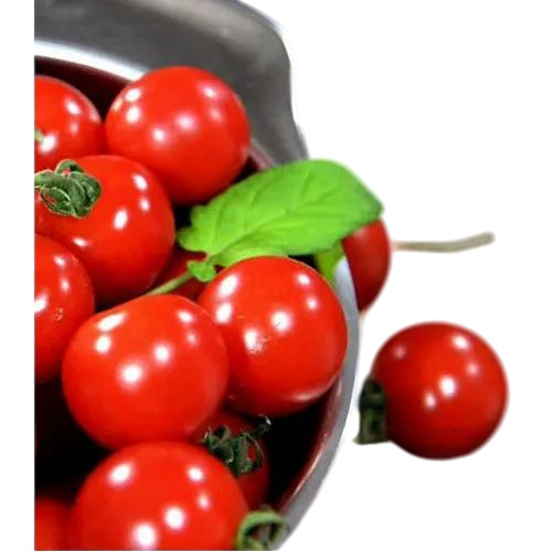 Cherry Tomatoes