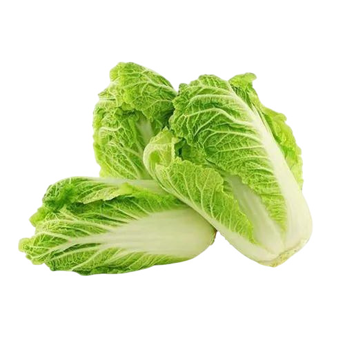 Green Cabbage 