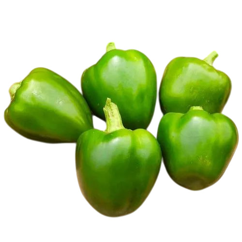 Green Capsicum