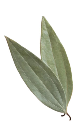 Indian Bay Leaf