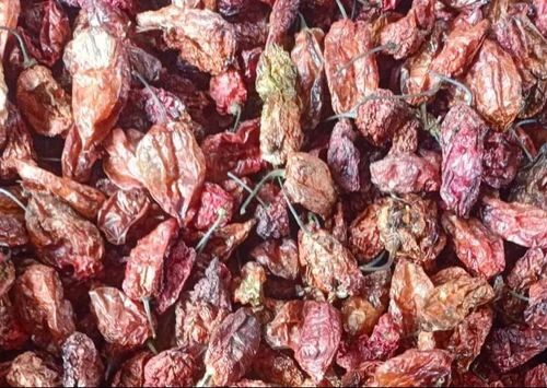 King Dry Red Chilli