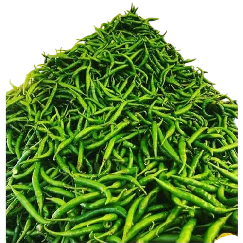 Organic Green Chilli