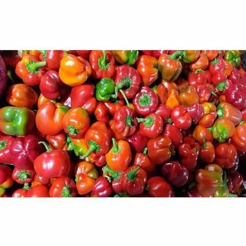 Red Capsicum