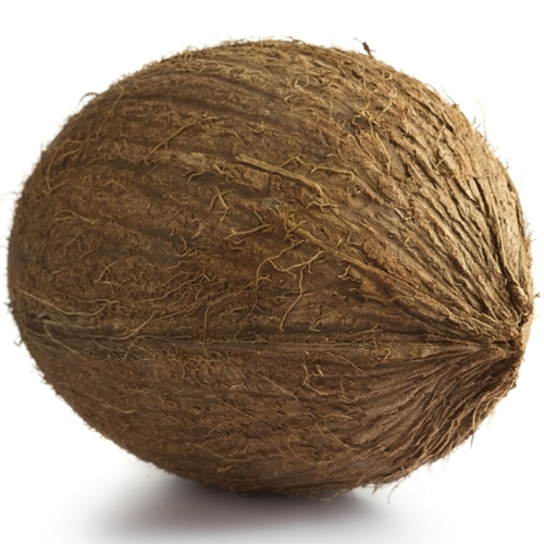 Dry Coconut 
