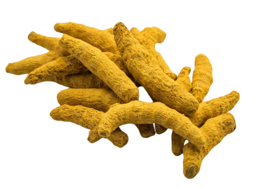 Erode Turmeric Fingers