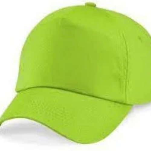 Green Plain Cap