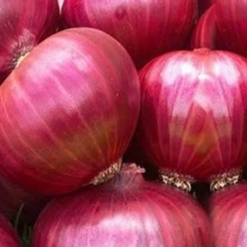 Red Onions