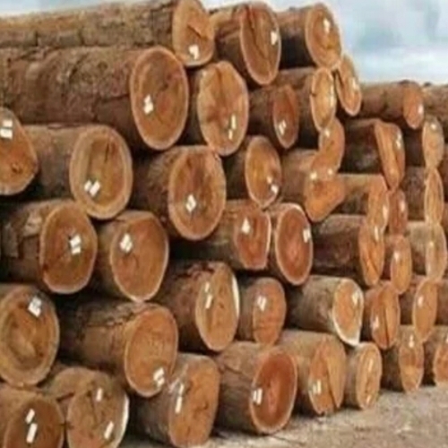 Wood Log