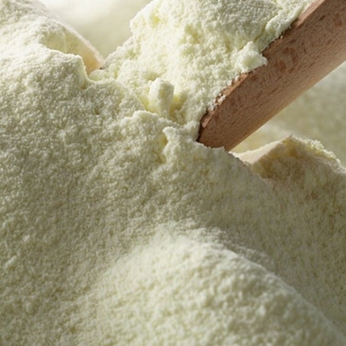 Milk Powder
