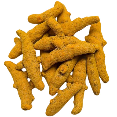 Dried Turmeric Finger