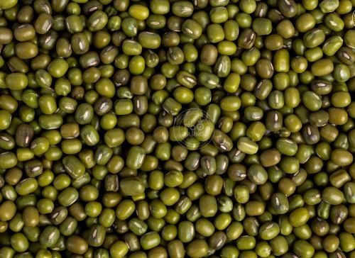 Green Moong Dal