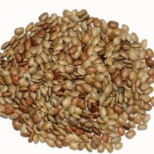 Horse Gram