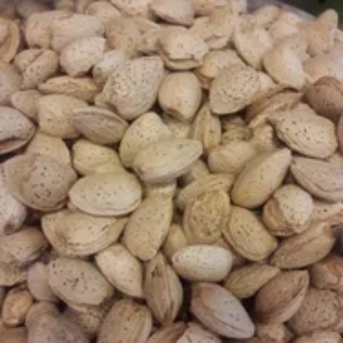 Kashmiri Kagzi Almond