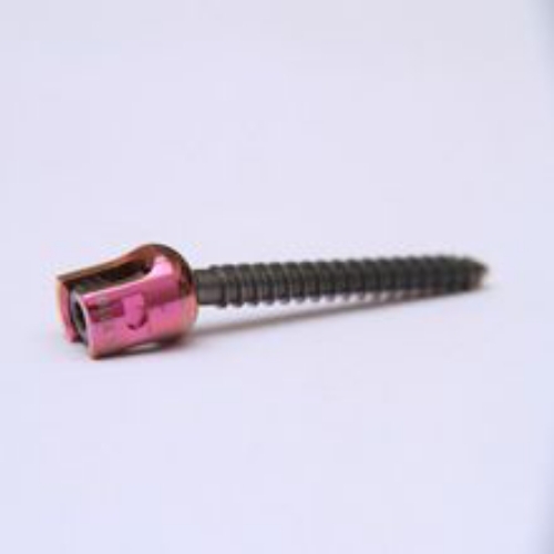 S.l.Polyaxial Screw