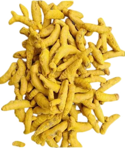 Turmeric Finger