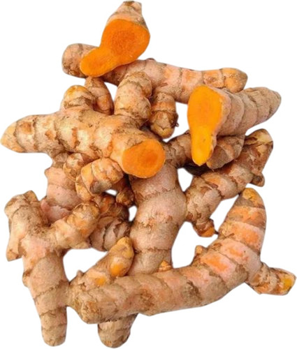Turmeric Finger