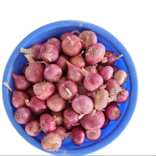 fresh onions