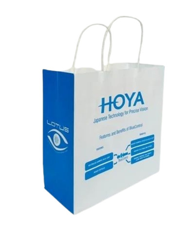 13 Inch Printed Paper Bag