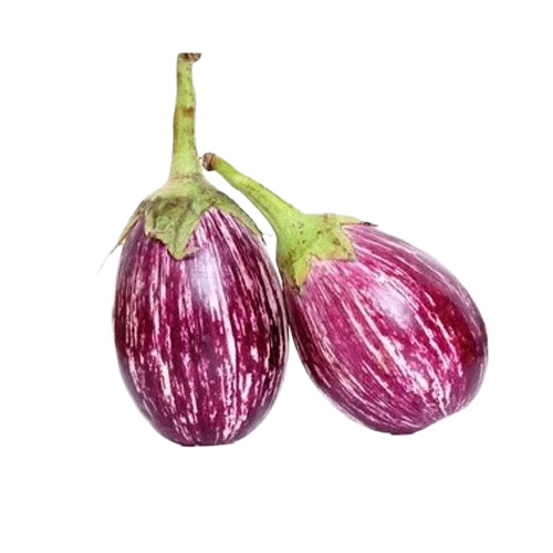 Fresh Brinjal