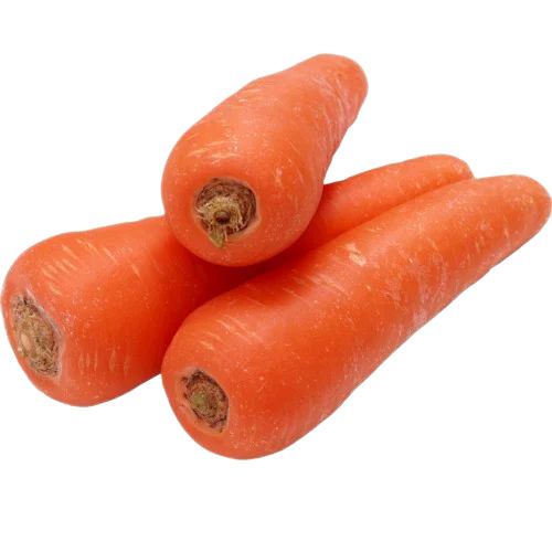 Fresh Carrot