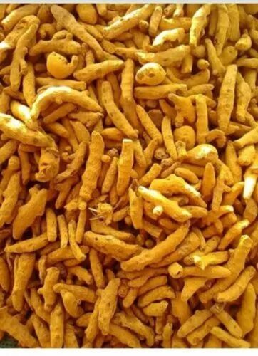 Salem Turmeric Finger