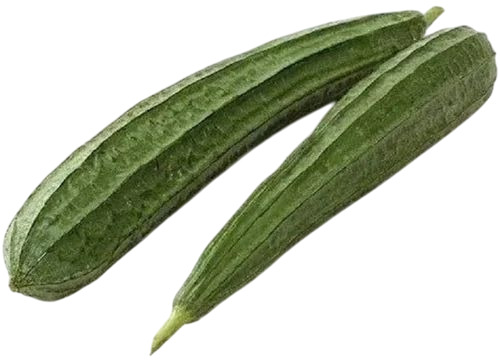 Ridge Gourd