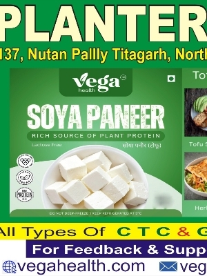 tofu product line