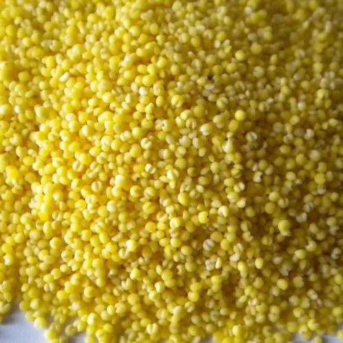 Yellow Millet