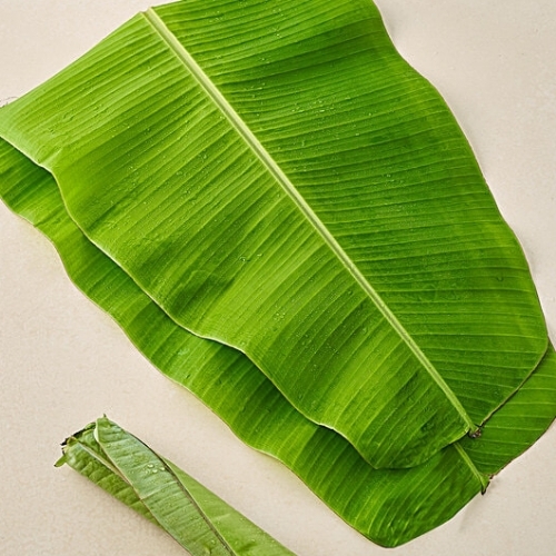 Banana Leaf