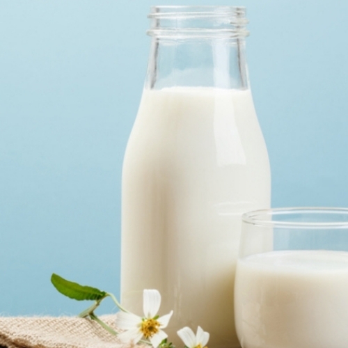 Cow Milk 