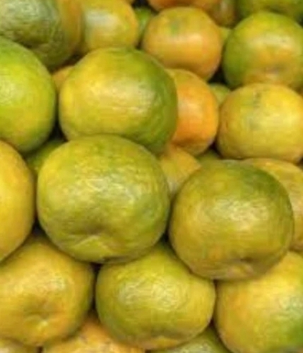 Fresh Orange