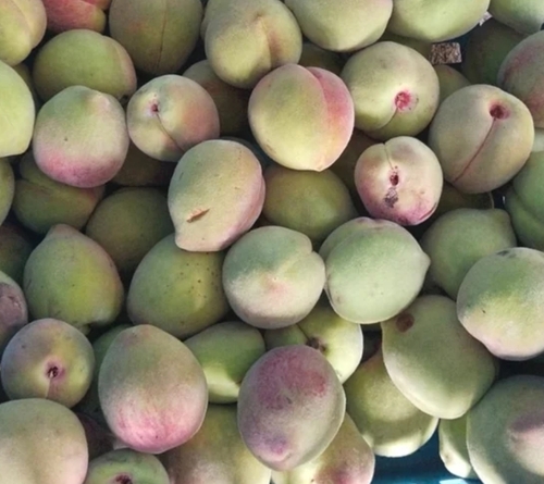 Fresh Peach Fruit