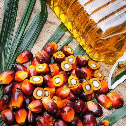Palm oil