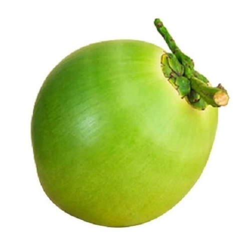 Whole Tender Coconut
