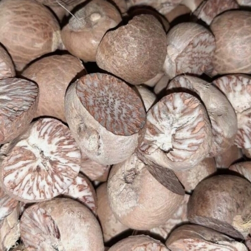 Areca Nut - Broken (%): 5