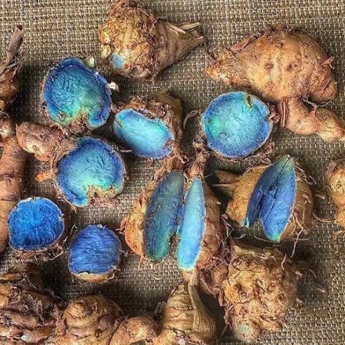 Premium Organic Black Turmeric