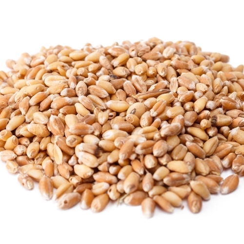 Grains