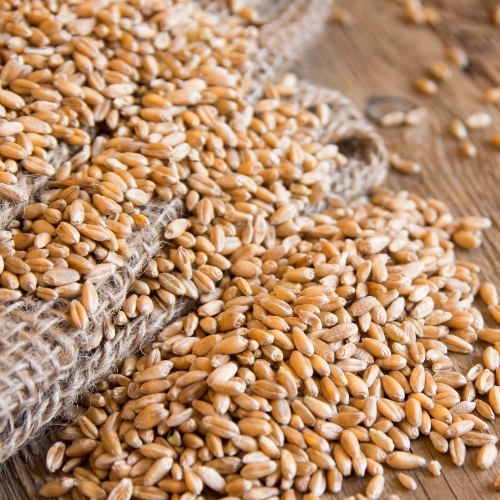 Natural Wheat