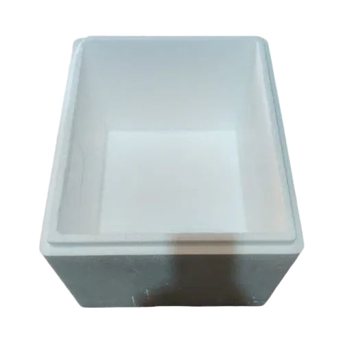 Thermocol Ice Storage Box